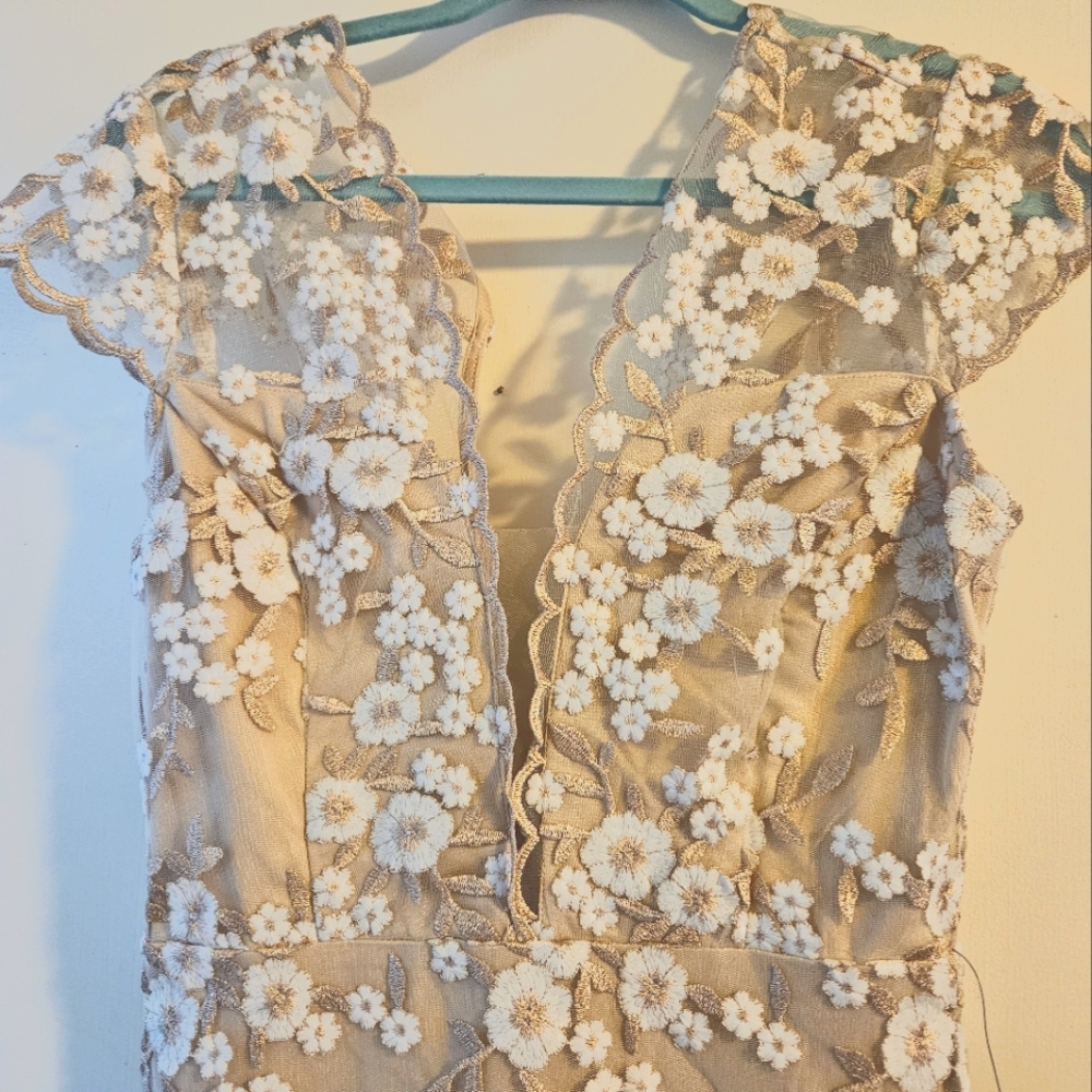 Baltic Born dress